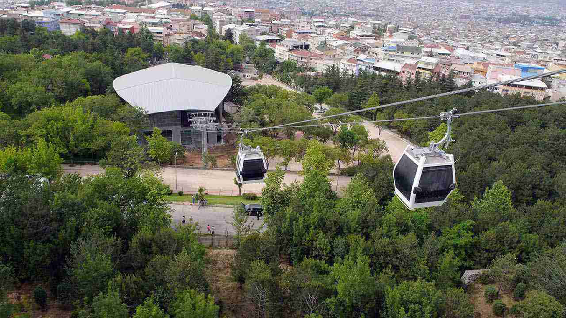 Bursa